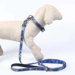 Online Correa para perros Stitch Más Regalos De Disney|Películas Y Personajes De Disney ·Lilo Y Stitch