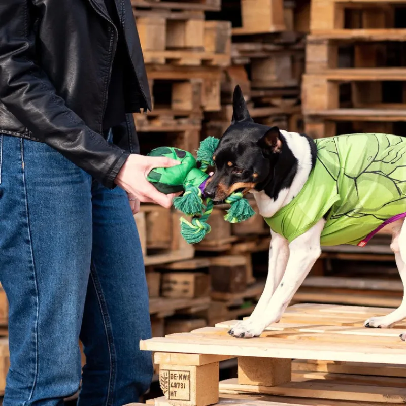 Sale Cuerda dental para perros Forma Hulk Superhéroes Marvel