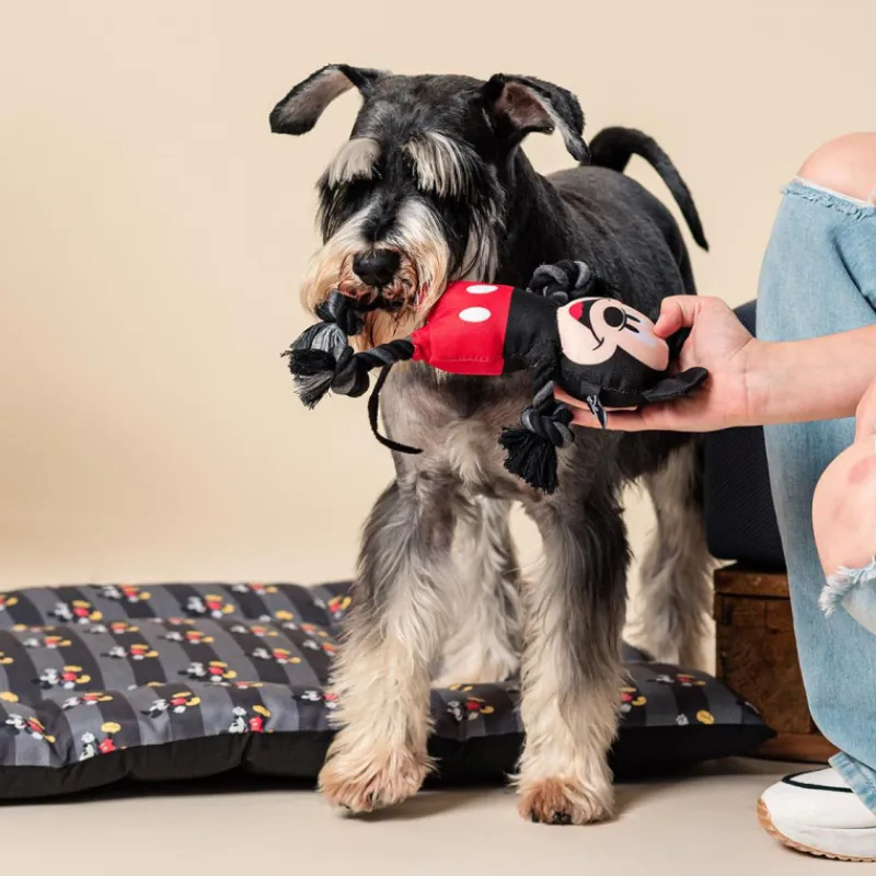 Cerdá Adult Películas Y Personajes De Disney ·Mickey & Minnie^Cuerda dental para perros Mickey Mouse Disney