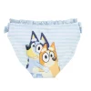 Outlet Culétin de Baño Bluey Niños Ropa Y Téxtil: Cosas Que Ponerse Para Niños