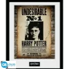 Abystyle Harry Potter Hogar^Harry Potter - Cuadro enmarcado "Undesirable No 1" 30x40 cm