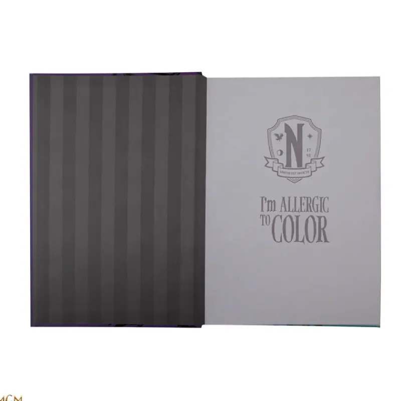 New Libreta Miercoles y Enid Wednesday Miércoles Addams