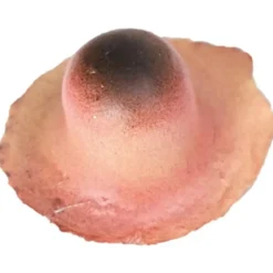 Discount Maquillaje FXs Lunar bruja Maquillaje Para Disfraces
