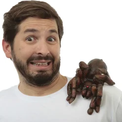 Hot Muñeco Para Hombro Tarantula Complementos Para Disfraces