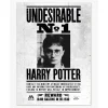 Hot Póster Indeseable Nº1 Harry Potter Harry Potter Hogar