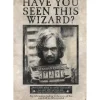 Abystyle Replicas Colección Harry Potter^Póster Wanted Sirius Black Harry Potter