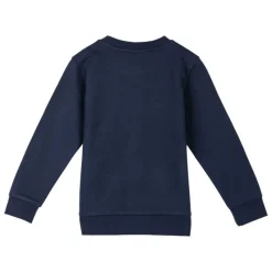 Niños Cerdá Kids Marvel Y Dc Para Niños|Ropa Y Téxtil: Cosas Que Ponerse Para Niños ^Sudadera Infantil de Algodón Marvel