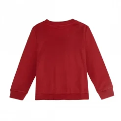 Niños Cerdá Kids Ropa Y Téxtil: Cosas Que Ponerse Para Niños ^Sudadera Niños Hot Wheels 60% Algodón 3-8 Años