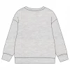 Discount Sudadera Paw Patrol Cotton Brushed para Niños 3-6 Años Niños Ropa Y Téxtil: Cosas Que Ponerse Para Niños |Patrulla Canina