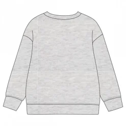 Discount Sudadera Paw Patrol Cotton Brushed para Niños 3-6 Años Niños Ropa Y Téxtil: Cosas Que Ponerse Para Niños |Patrulla Canina